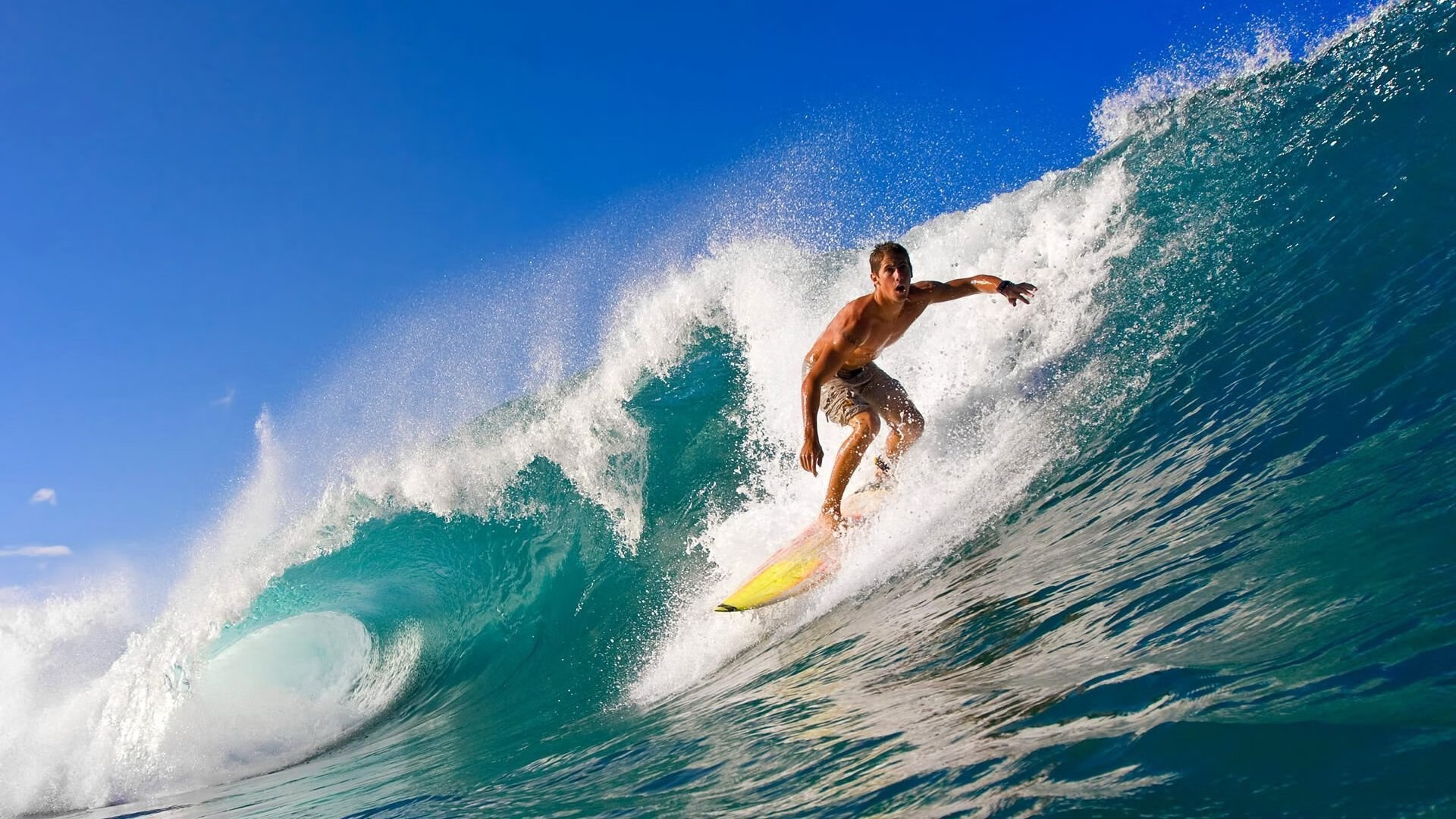 当东方巨龙遇见法国神塔,广东队与爵士的跨时空对决,文班亚马的统治级启示